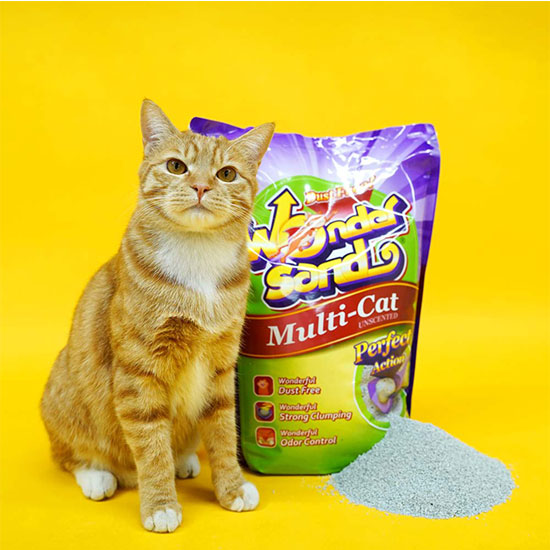 원더샌드 멀티캣 (무향) 고양이 벤토 모래